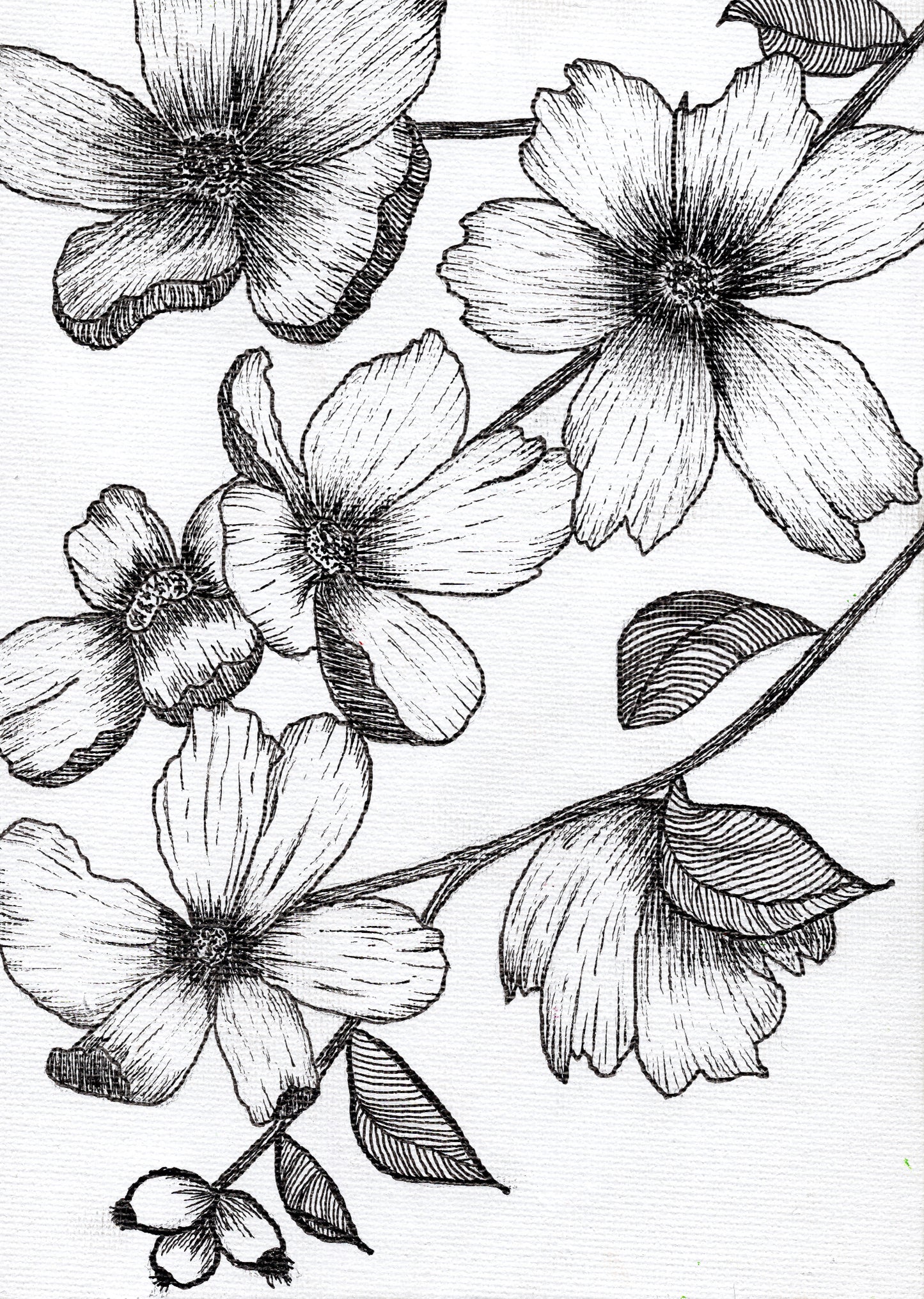 Floral Fuckery No. 1 - Original Piece